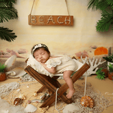 Hammock Chair | Wooden Decorative | Natural Wood